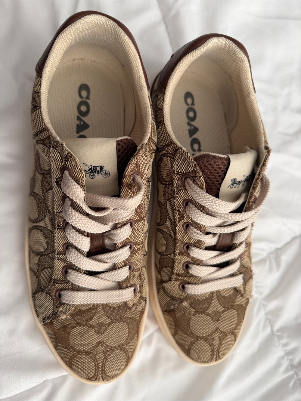Coach Low-Top Signature Canvas Sneakers in Khaki and Brown